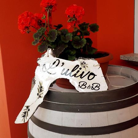 Bed and Breakfast Beb Ulivo Santa Giuletta Exterior foto